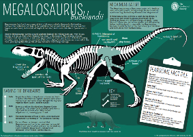 Megalosaurus Poster Key Stage 2